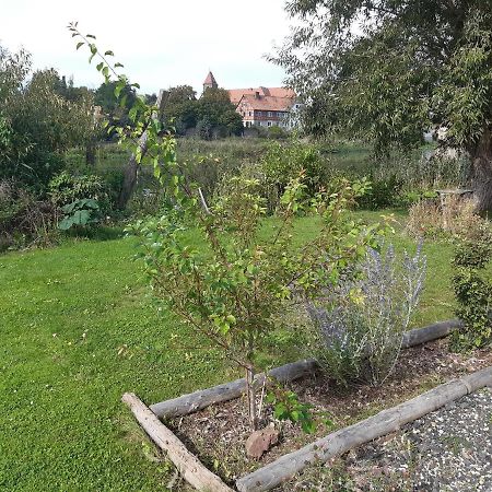 Ferienwohnungen Schiffstatt Guxhagen Dış mekan fotoğraf